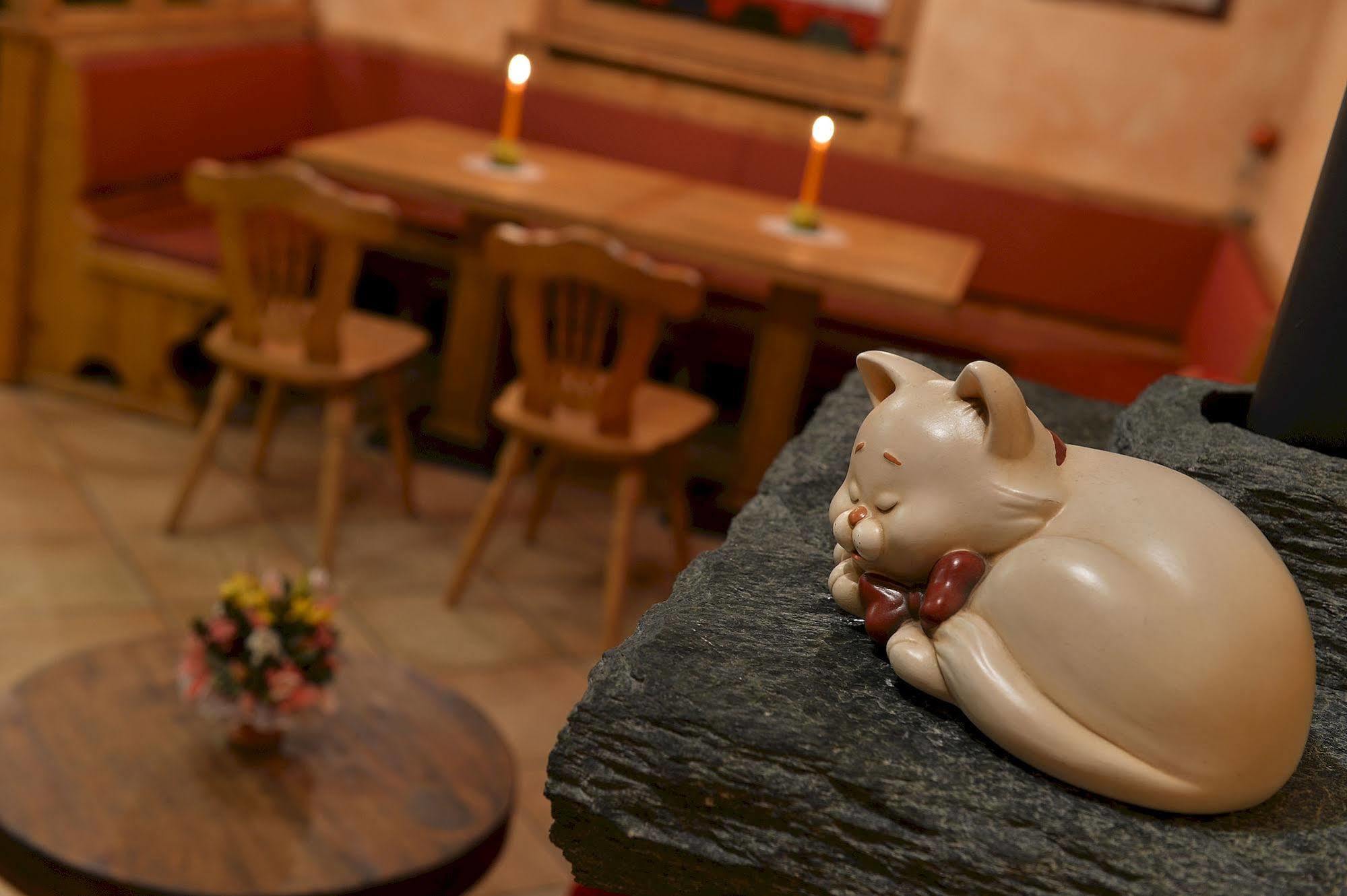 Hotel Costanza Mountain Holiday リヴィーニョ エクステリア 写真